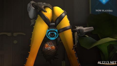 尔夫舞台保 尔夫舞台保